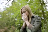 10 Things You Probably Did’nt Know About Hay Fever